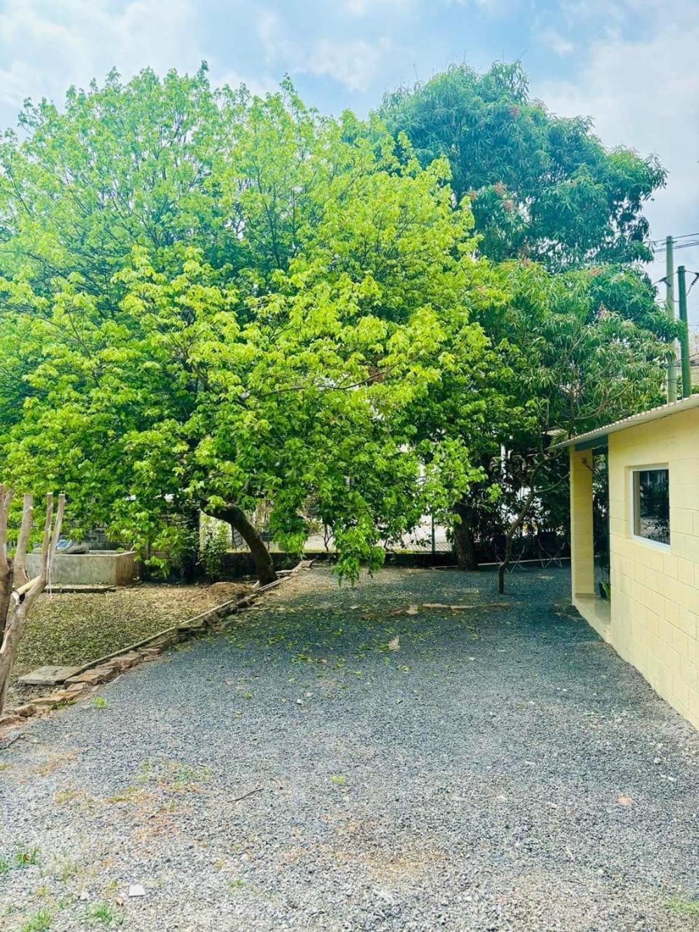 Tamanique Hostal Camila'S מראה חיצוני תמונה